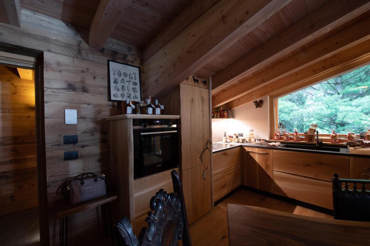 קאמפיטלו די פאסה Chalet Degli Abeti By Ama Val Di Fassa מראה חיצוני תמונה